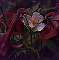Vintage Asiatic Lilies 